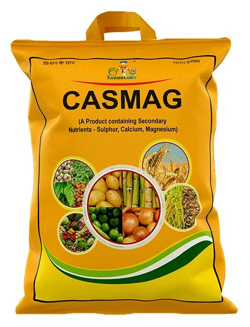 CASMAG