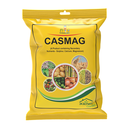 CASMAG-K