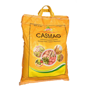 CASMAG