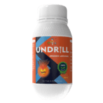 UNDRILL